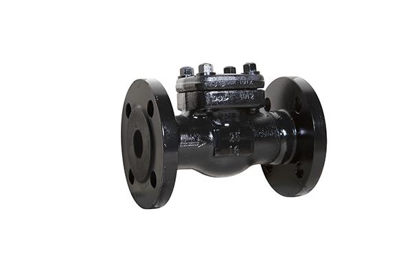 black color forged steel check valve isolated under white background